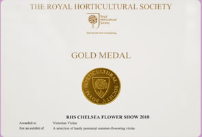 RHS Gold Medal Certificate